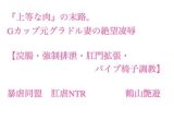 『上等な肉』の末路。Gカップ元グラドル妻の絶望凌○【浣腸・強○排泄・肛門拡張・パイプ椅子調教】